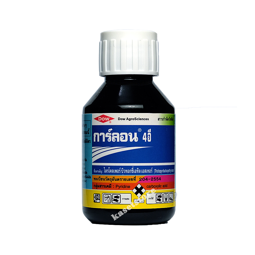 My Image 30